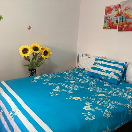 شقة Cosy Hideaway براشوف المظهر الخارجي الصورة